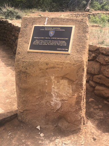 Far View Tower - Visual
