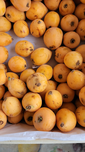 Frutta e verdura fratelli Modeo - Thumbnail