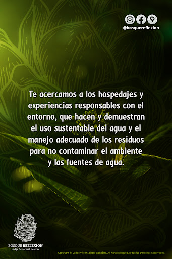 Bosque Reflexion - Visual