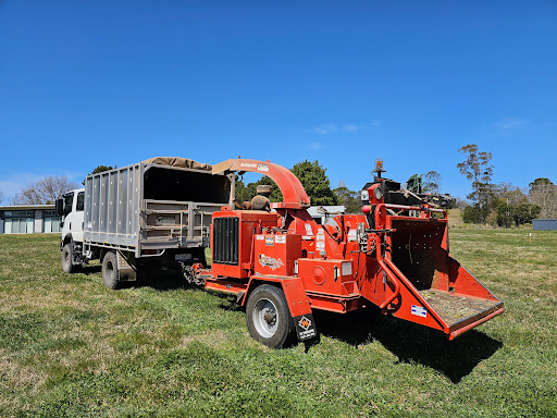 Barnes Tree Services - Thumbnail