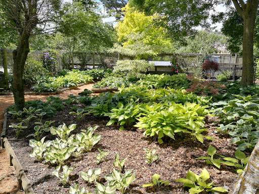 Ribblesdale Gardens - Thumbnail