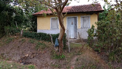 Photos of Cavalgadas Rent a Horse
