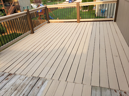 Wolverine Staining - Visual