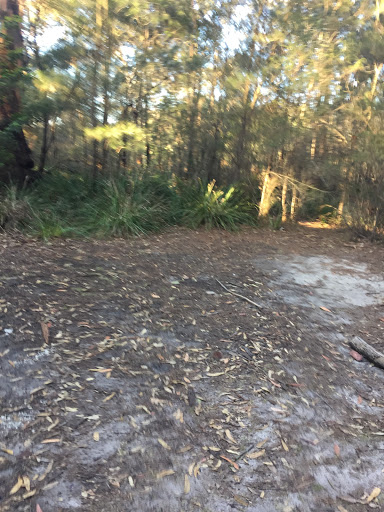 Brooklyn Dam North West Campsite - Thumbnail