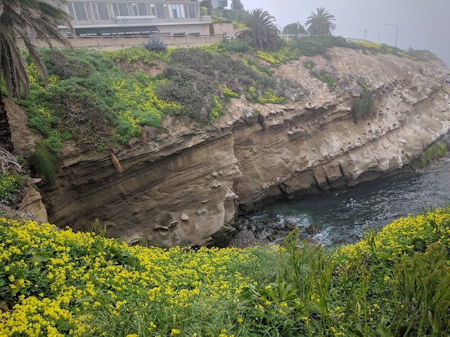 La Jolla Cove