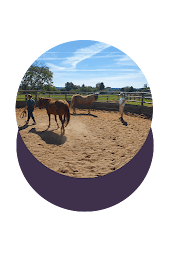 Photo n°11 de karine borde Thérapeute holistique en énergétique à Château-Chervix (Coach de vie)