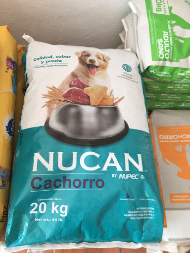 @pet-shop - Thumbnail