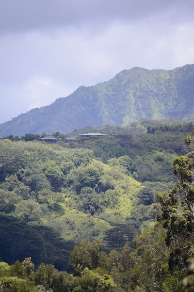 Okolehao Hiking Trailhead