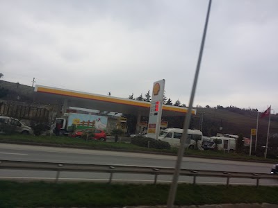 Shell-yalova İstanbul (Tts)