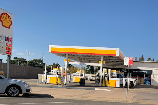 Shell Temora