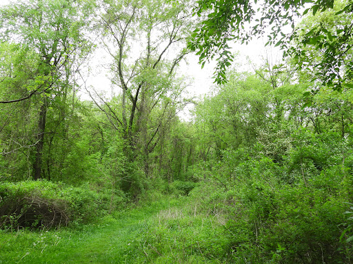 RABBIT HILL LOOP TRAIL - Visual