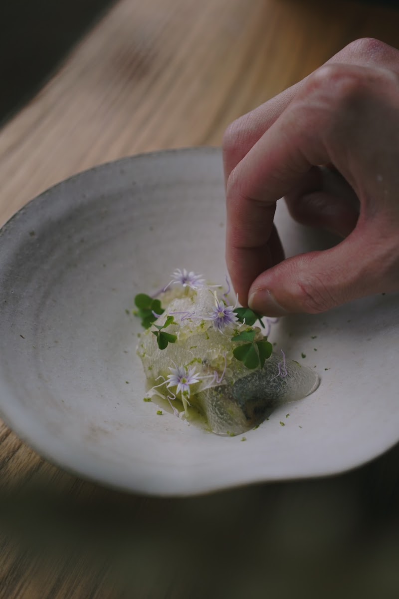 MAISON CINQUANTECINQ