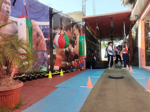 HIGH PERFORMANCE CENTER . ARENA SPARTAN CROSSFIT - Thumbnail