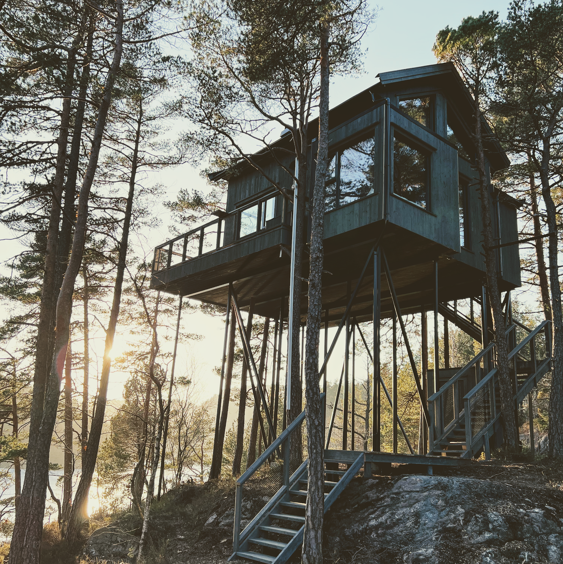 Kristiansand Tretopphytter AS
