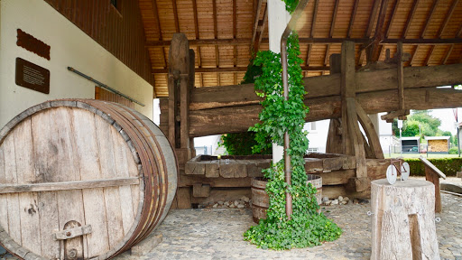Weingut Dilger - Thumbnail