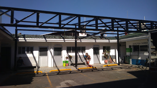 Clinica Veterinaria La 56
