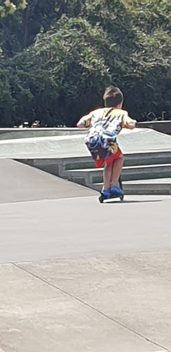 Pukekohe Skate Park - Thumbnail