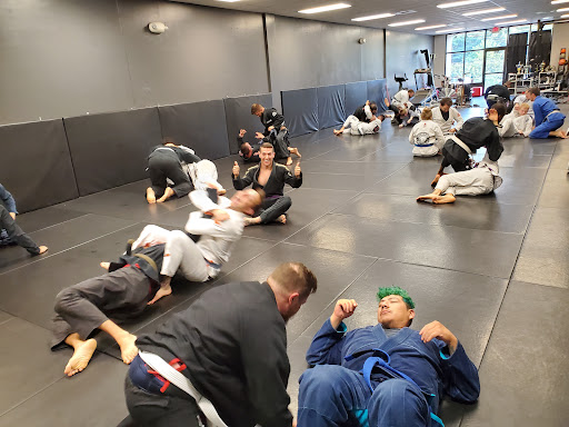 Gracie 717
