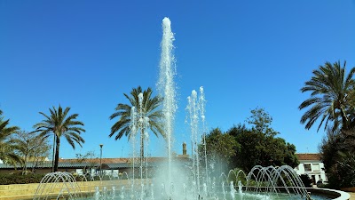 Photos of Parque de la constitucion