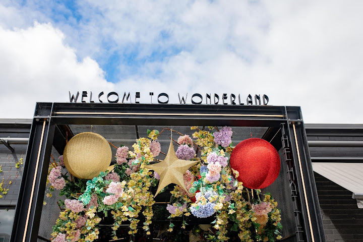 The Hatter and the Hare by null