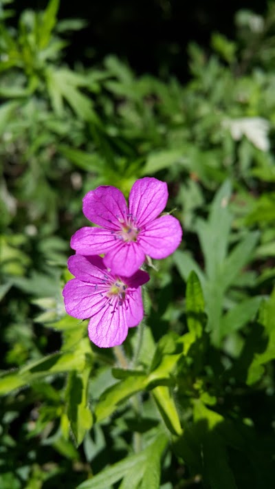 Photos of 덕태산