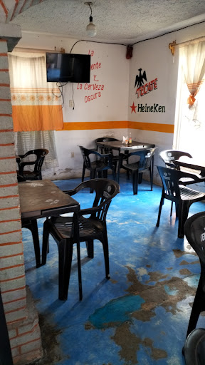Micheleria Don Delfi Gallery - Mexico