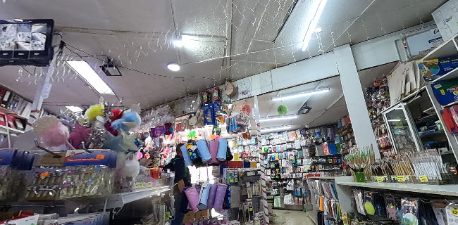 Av. El Peral 0866, 8221233 Puente Alto, Región Metropolitana