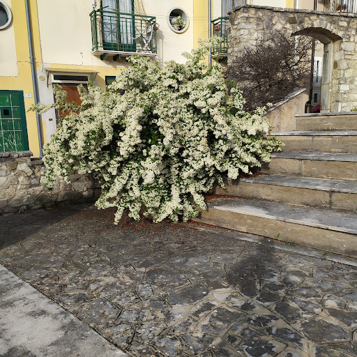L'Anfiteatro - Visual