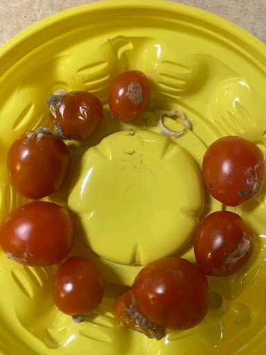 Sullivan's Grocery Store - Thumbnail