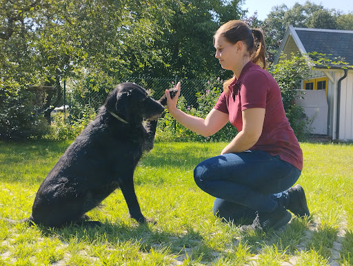 Physiotherapie und Osteopathie für Tiere Malin Cordugas Gallery - Germany