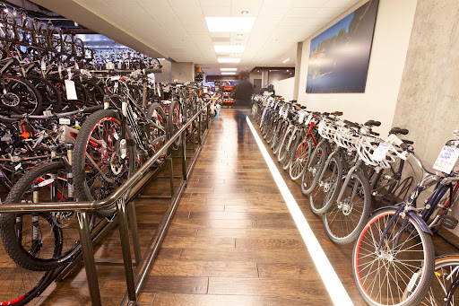 Mike's Bikes of Walnut Creek - Thumbnail