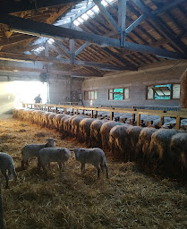 Photo n°25 de Ferme Burubeltx à Urepel (Fromagerie)