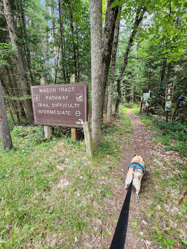 Mason Tract Pathway Trailhead - Thumbnail