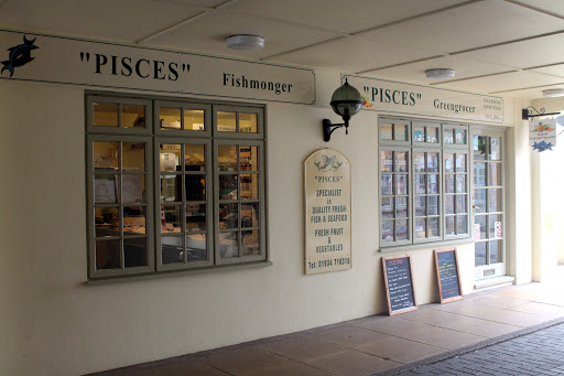 Pisces - Visual