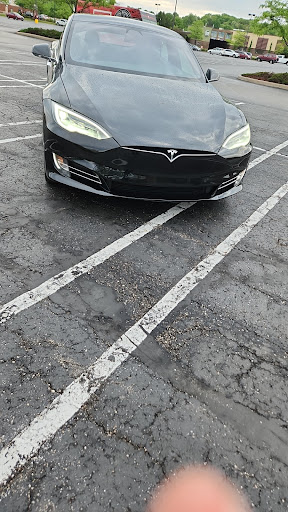 Teslamend - Visual