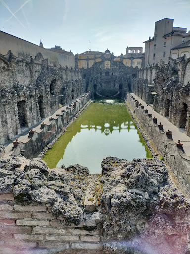Sassuolo - Visual