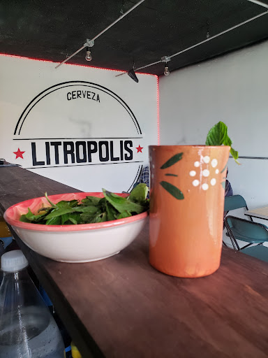LITROPOLIS