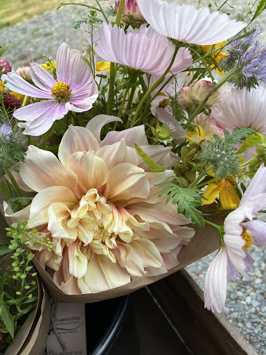 Blumenhütte - Thumbnail