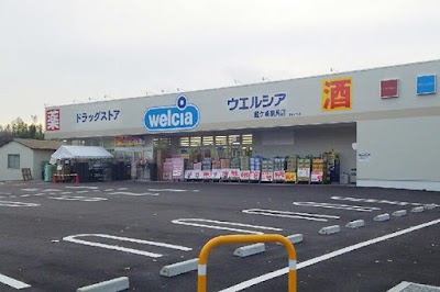 ウエルシア龍ケ崎馴馬店