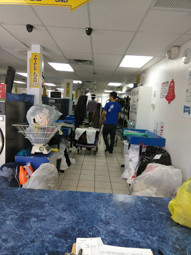 Hollywood Coin Laundry - Thumbnail