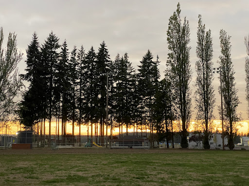 W.E. Evans Park - Visual