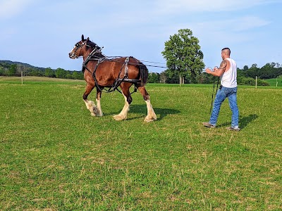 Spring Ridge Farms