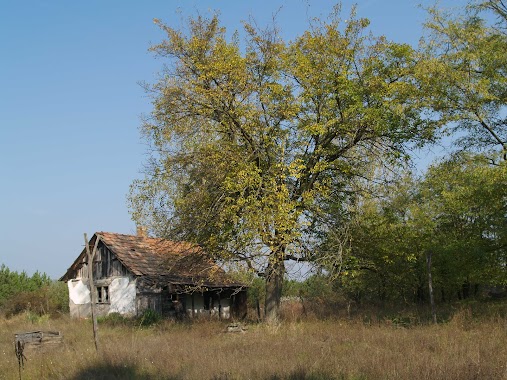 Csévharaszti borókás Természetvédelmi terület, Author: Zsolt Lovas