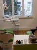 Фотография Leader Dental International, проспект Давида Агмашенебели, Тбилиси, Грузия