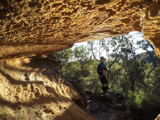 Tunks Ridge Rest Area - Thumbnail
