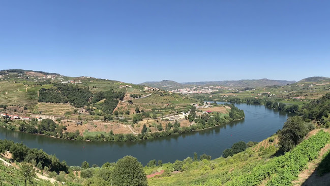 Avaliações doDelfim Douro Hotel em Lamego - Hotel