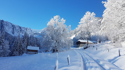 Alpesvente Saint Jean d’Aulps : Immobilier en Haute Savoie, Portes du Soleil - Thumbnail