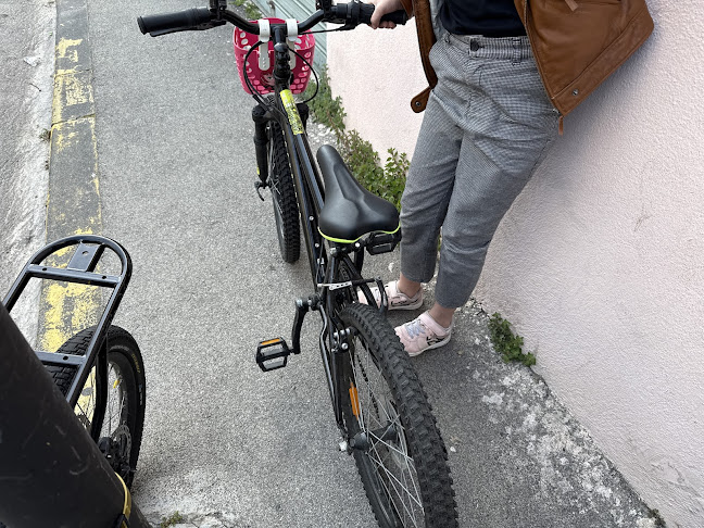 Mimosa Bike Repair - réparation de vélos à domicile et en atelier