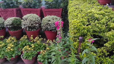 Photos of Balaju Park