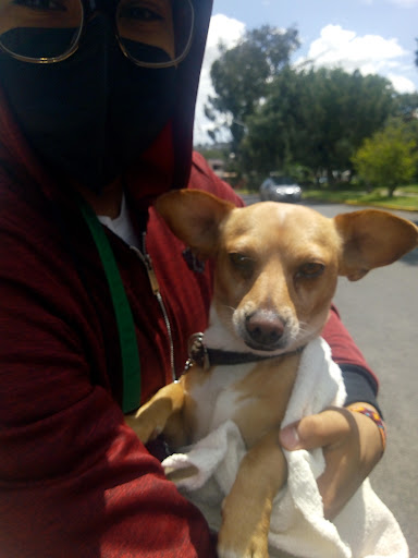 Clinica Veterinaria C Vets - Thumbnail